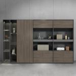 Business Premises Large Office Cabinets for Documents Books Certificates and