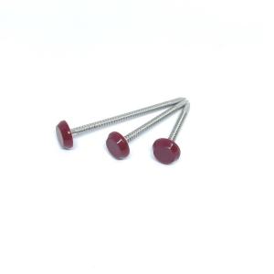 Quality 65MM Stainless Steel A2 Annular Ring Nails Nylon PA6 wholesale