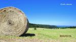 HDPE Well-Knitted White Bale Wrap Net