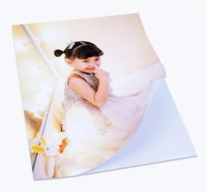Quality A3 135gsm Self Adhesive Inkjet Photo Paper For Albulm wholesale