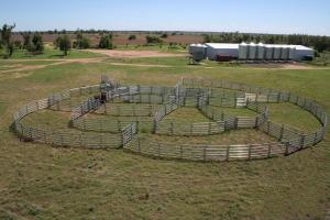 Quality 30pcs Bundle Heavy Duty Portable Cattle Panels For Sale &amp; Gate wholesale