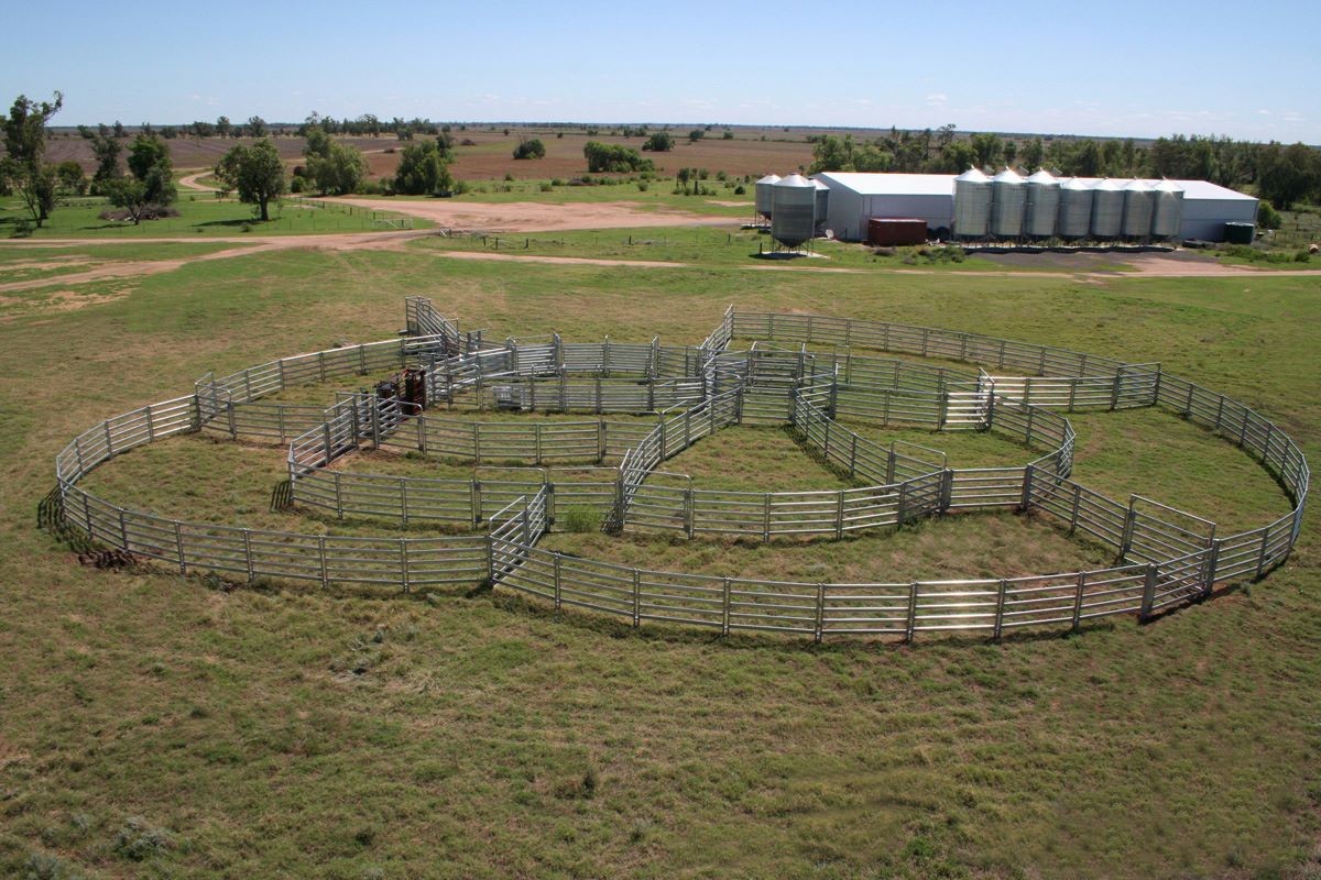 13 Portable Horse Stall Panels HEAVY Duty Outdoor Animal Enclosure with Gate