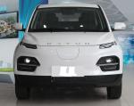 Deluxe Edition 2022 Dayun Yuehu 300 5 Doors 5 Seater SUV Cltc 300Km