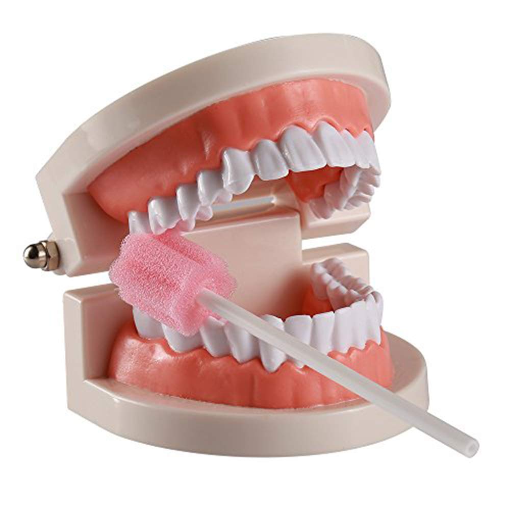 OEM Dental Consumables Pink Disposable Teeth Cleaning Swabs
