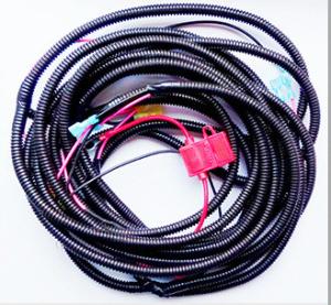 Quality OEM auto ECU cable automotive cable assembly with watertight connectors wholesale