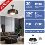 22 Inch Bladeless LED Ceiling Fan Chandelier 110V Three Color