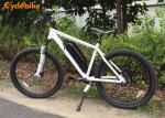 Battery Powered Elec City Bike 500w For Ladies Steel Painting Mudguard