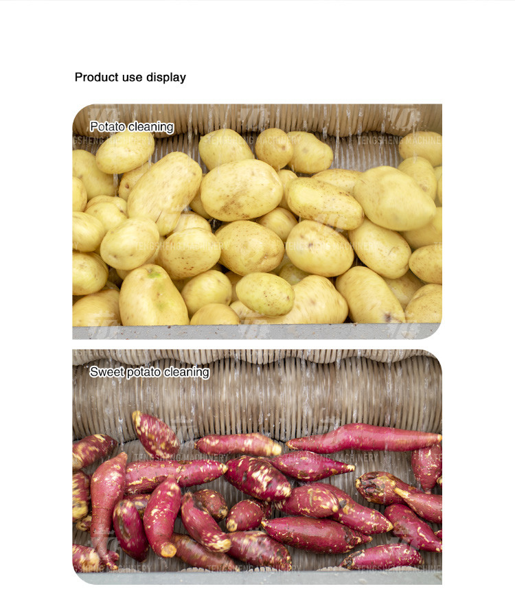 250KG Carrot Brush Cleaning And Peeling Machine Brush Cleaning Machine
