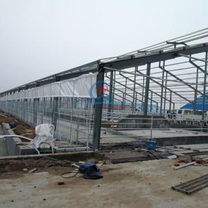 Quality Prefabricated Steel Structure Cow Shed Customized Steel Frame Shed wholesale