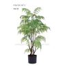 Buy cheap Premium Artificial Fern Tree , Artificial Maidenhair Fern Handcrafted Asethetic from wholesalers
