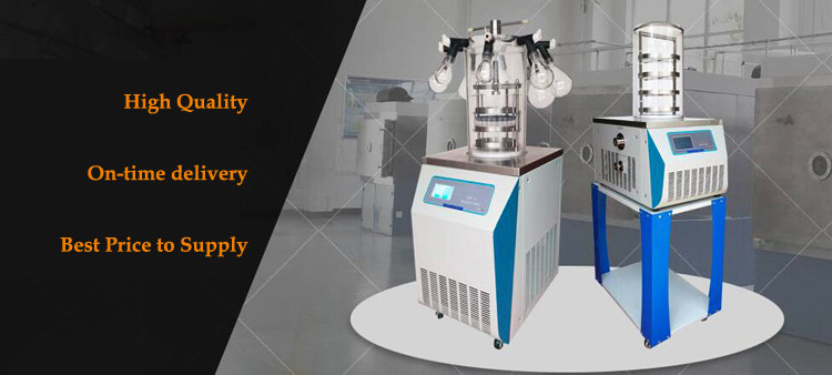 LGJ-12 0.12M2 Mini Vacuum Benchtop Freeze Dryer Lab Lyophilizer Real Time Alarm Display