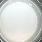 Translucent Coating Raw Materials Waterborne Polyurethane Pur Dispersion PU02A