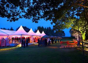 Quality UV Resistant Party Marquee Tents Windproof For Events Weddings Tent For Birthday Party At Home wholesale