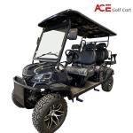 Sun Canopy Roof Electric Golf Cart With Leather Fabric Seats 8 - 9 Hours