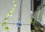 Architectural Surface Stainless Steel Wire Rope Mesh Green Plant Climbing Wall