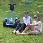 Two Wheels Self Balance Scooter Segway Electric Scooter Chariot App Controlled