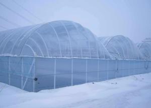 Quality 8m Tunnel 150 Micron 200 Micron Plastic Film Greenhouse wholesale