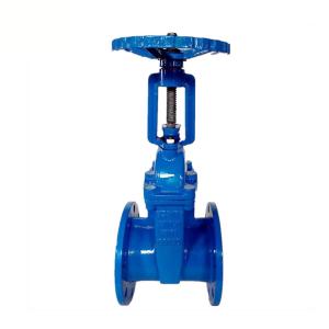 Quality Stainless Steel Flanged Gate Valve Jis 10k Cast Iron Cs API6D wholesale