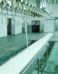 Stainless Steel Slaughterhouse Equipment Automatic Chicken Production Line