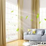 Water Based Coating William Indoor House Paint Transparent Pantone Color