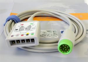 Quality Compatible 12 Pin ECG Truck Cable , Patient Monitor Accessories Lightweight wholesale