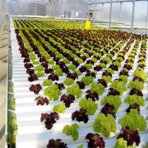 Quality 100% Virgin Pvc Pipe Large Plastic Greenhouse Elliptical Shape Hydroponic Nft System wholesale