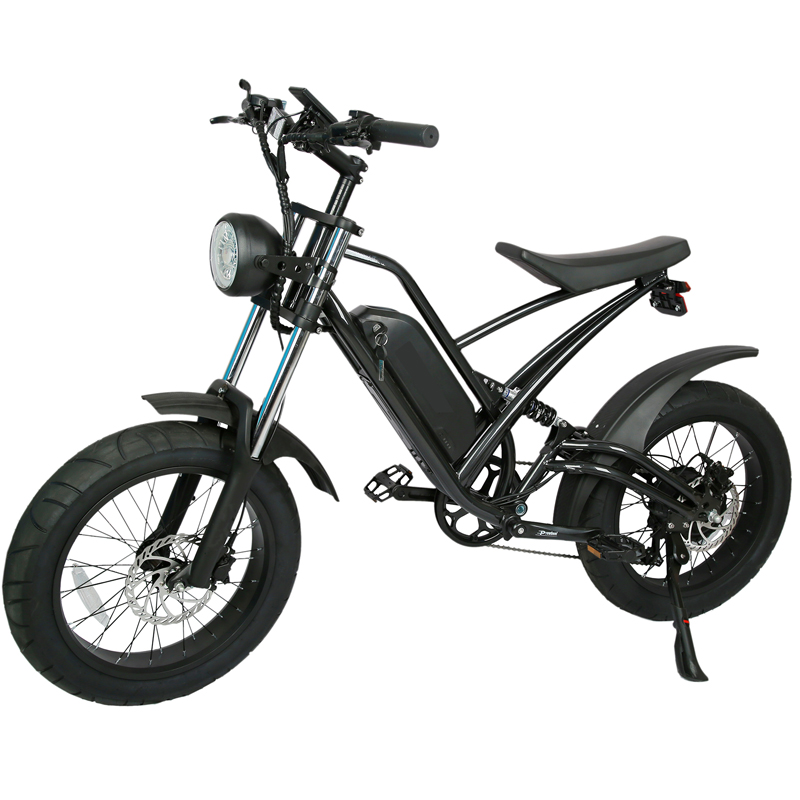 DOMANCA 750W High Speed Dirt Bike Off-road Fat Tire Ebike Customized E Bike Motorcycle