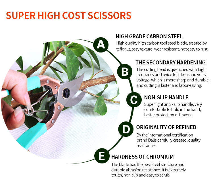 210mm Garden Farming Pruning Shears SK5 Carbon Steel Tree Cutting Scissors 20mm Cutting Capacity