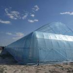 6m 7m 8m 9m Span Clear Plastic Film Greenhouse Vegetable Farming Tomatoes Pepper