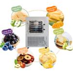 TOPTION Efficient 4 - 5L Capacity Home Freeze Dryers Keep Fresh For Longer