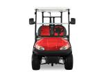 Battery Operated 2 Seater Golf Cart Street Legal With 5 Horsepower Motor