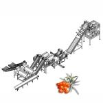 20TPD Sea Buckthorn Processing Fruit Juice Production Line