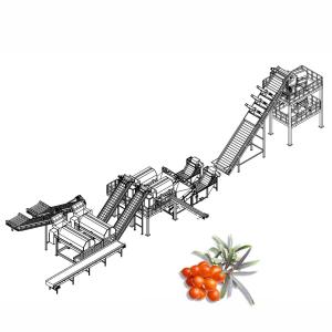 Quality 20TPD Sea Buckthorn Processing Fruit Juice Production Line wholesale