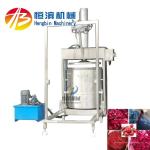 304 Stainless Steel Hydraulic Cold Press Juicer for Commercial of Grape and