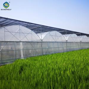 Quality Heat Resisting Morden Multi Span Greenhouse For Commercial Agriculture wholesale