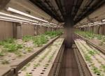 Intelligent Temperature Control Juxiang Leafy Vegetable Container House Heating