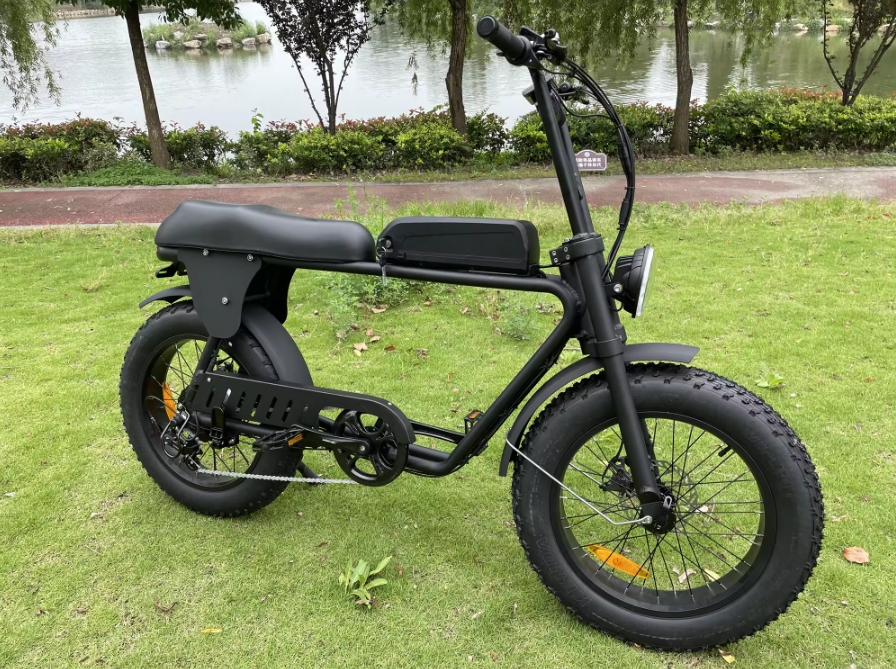 Fat Tire 73 Electric City Bike Front Suspension 48V 500W 750W Electric Bicycle 20"*4.0 Electric Fat Bike