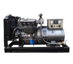 250KW High Performance Biogas Generator Open / Soundproof Type