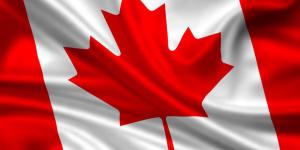 Quality 3x5 Canada National Polyester Single sided Flag wholesale