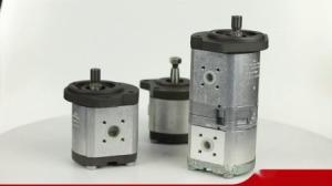 Quality 0510625071 Azpf-11-016rrr20kb-S0081 Hydraulic Gear Pump For Rexroth wholesale