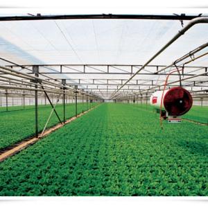 Quality Hydroponic NFT System for Greenhouse Optional Irrigation Solution Included wholesale