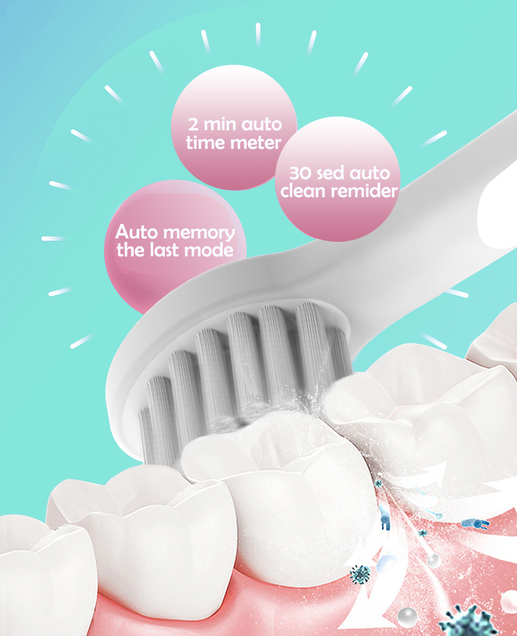 CONTEC C1 Waterproof IPX7 Electric Sonic Toothbrush Rechargeable Toothbrush