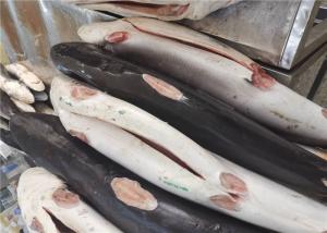 Quality Gutted Cut 10kg Frozen Blue Shark Steak For Restaurant wholesale