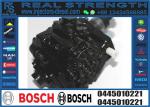 Factory Remanufactured diesel Injection Oil Pump common rail pump 0445010194