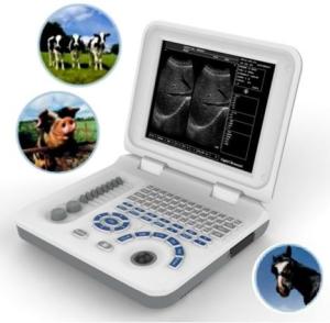 Quality Animal Veterinary Ultrasound Scanners 5.0Mhz Micro Convex Probe Rectal Probe wholesale