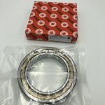 FAG Cylindrical Roller Bearings NU1020-E-XL-M1-C3