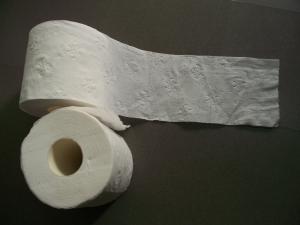 Quality Virgin Wooden Pulp Bathroom Toilet 2 Ply Tissue Paper 14gsm 100g wholesale