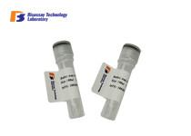 Quality Specific Mouse Anti CD10 Monoclonal Antibodies , IHC - P Use Mab Monoclonal Antibody wholesale