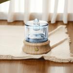 80ml Glass Air Humidifier & Aroma Diffuser ▕ DN-836