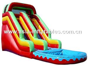 Quality Giant Inflatable Water Slide, Inflatable Slide On Sale wholesale